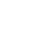 Slip and Fall